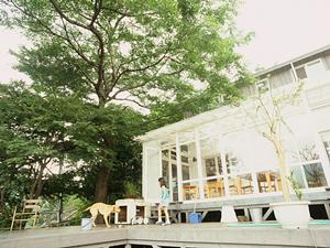 木の魅力を引き出す調布の工務店