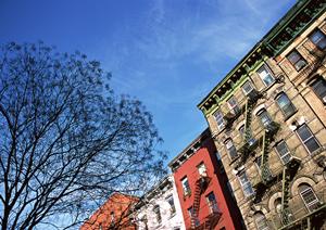 格安でペット可能な賃貸物件がある山口市の専門店