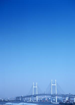 売買物件の種類と一般的な傾向