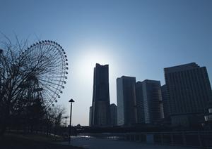 外壁塗装と植木の美しい調和を実現するための徹底ガイド